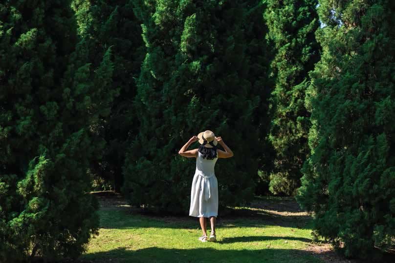Landscape Garden